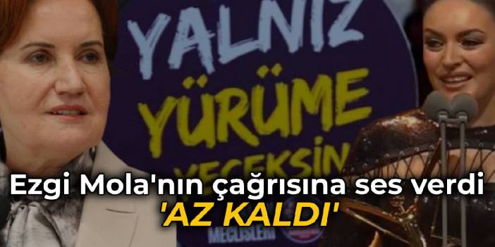 Akşener'den Ezgi Mola'nın çağrısına yanıt: Az kaldı