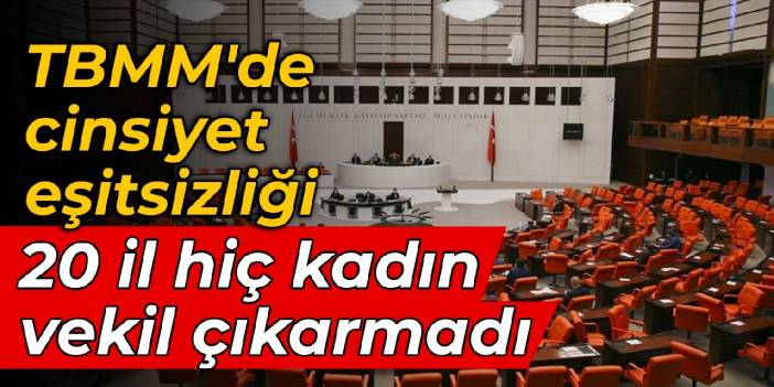 TBMM'de cinsiyet eşitsizliği: 20 il hiç kadın vekil çıkarmadı