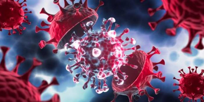 Koronavirüs'e yeni tespit: Kanser hücrelerinin yayılımını hızlandırıyor