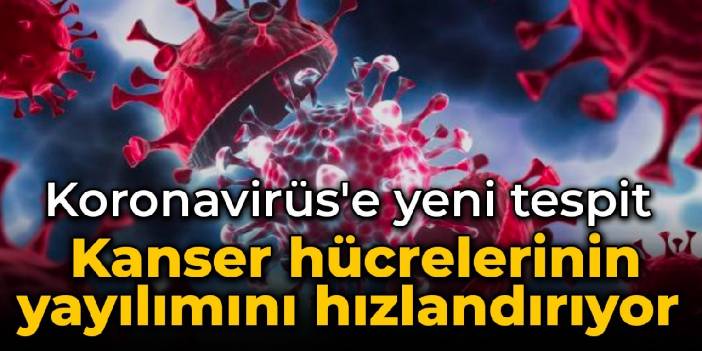 Koronavirüs'e yeni tespit: Kanser hücrelerinin yayılımını hızlandırıyor
