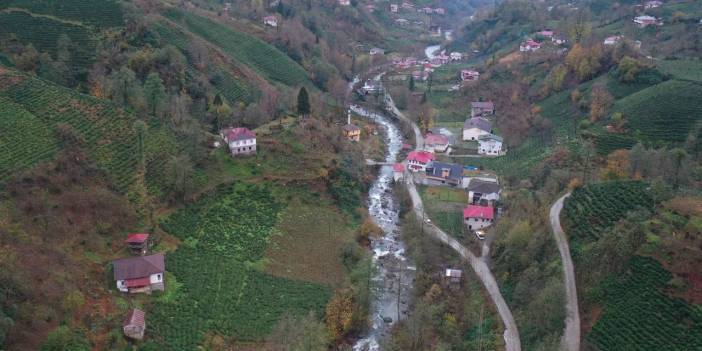 Arhavi'de 3. zafer: Danıştay talana 'dur' dedi