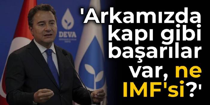 Babacan: Arkamızda kapı gibi başarılar var, ne IMF'si?