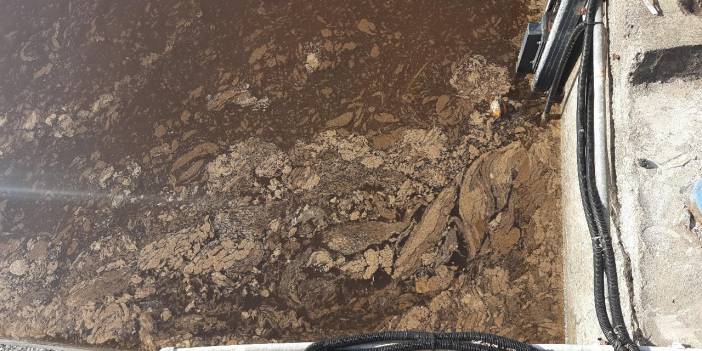 İzmit Körfezi kısmen kahverengiye büründü