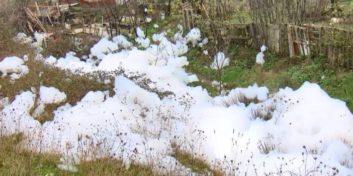 Eyüpsultan'da mahalleyi köpük sardı