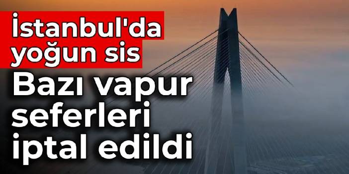 İstanbul'da yoğun sis: Bazı vapur seferleri iptal edildi