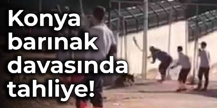 Ülke ayağa kalkmıştı: Savcı ‘hapis’ dedi mahkeme tahliye etti