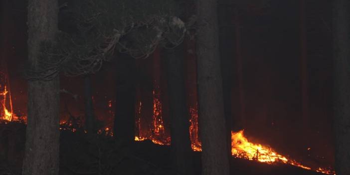 Kaz Dağları’ndaki yangın kontrol altına alındı
