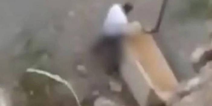 Yavru köpeğe tecavüz eden bekçiye hapis