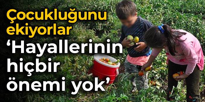 Çocukluğunu ekiyorlar: Hayallerinin hiçbir önemi yok