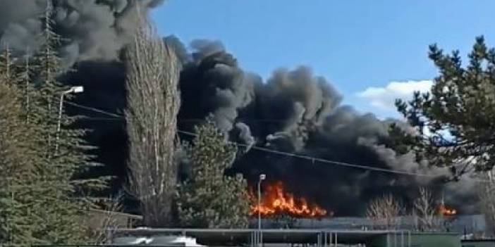 Ankara'da halı mağazasında yangın