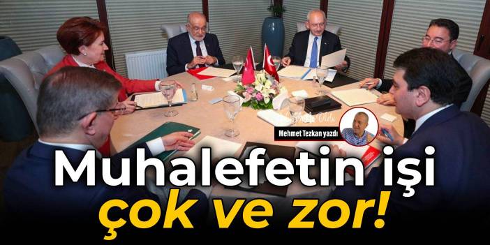 Muhalefetin işi çok ve zor!