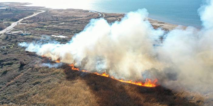 İznik'teki göl kıyısında yangın