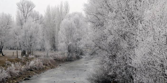 Muş'ta kartpostallık görüntüler