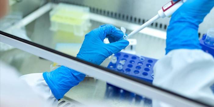 Kanser tedavisinde bir ilk! Tümörler tamamen yok oldu