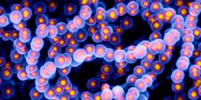 Doktorlar uyardı! Strep A bakterisi kaynaklı ölümler artıyor...