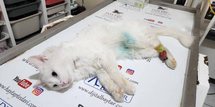 Kesik patide ‘büyü’ şüphesi