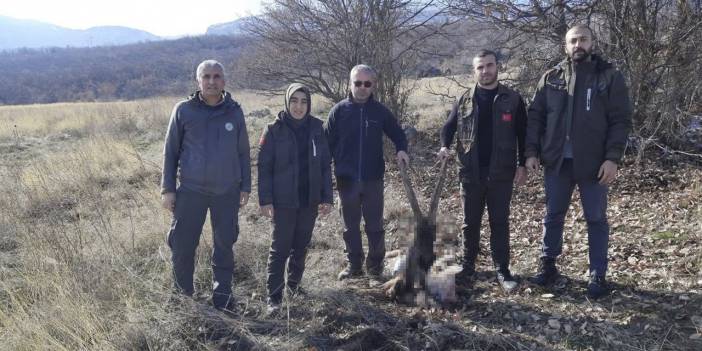 Yaban keçisinin katilleri kan izinden bulundu