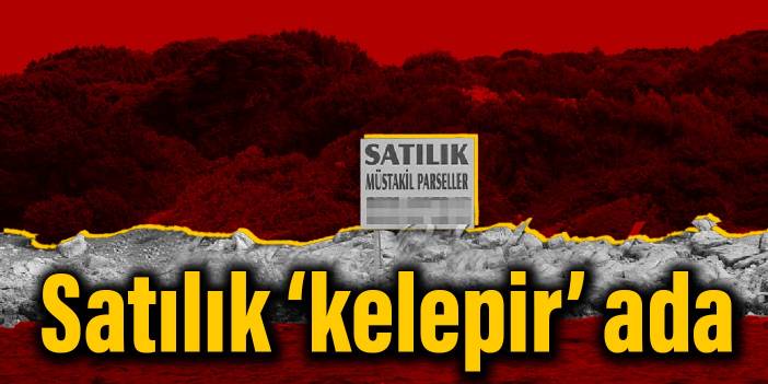 Satılık ‘kelepir’ ada