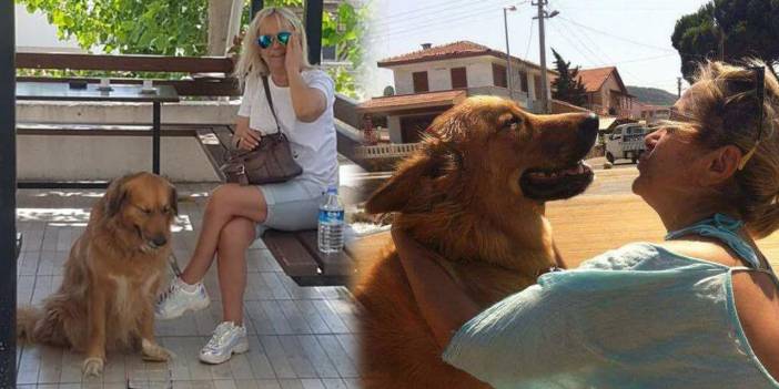 Tarçın kimde kalacak? Eski çift davalık oldu