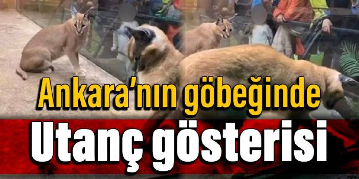 Ankara'nın göbeğindeki AVM'de utanç gösterisi