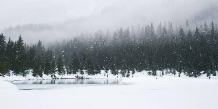 Bu kış Avrupa'ya kar düşmezse ne olur?