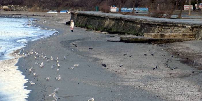 Avcılar'da deniz çekildi, kayalıklar ortaya çıktı