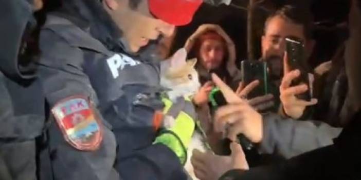 Depremde hasar gören binada mahsur kalan kedi kurtarıldı