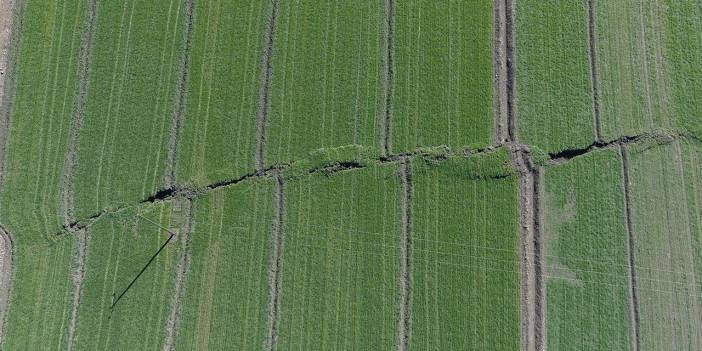 Kilometrelerce uzanıyor! Arazileri ikiye böldü