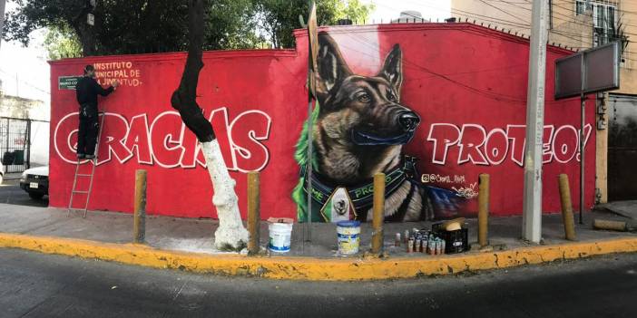 Proteo anısına: Teşekkür ederiz şampiyon!