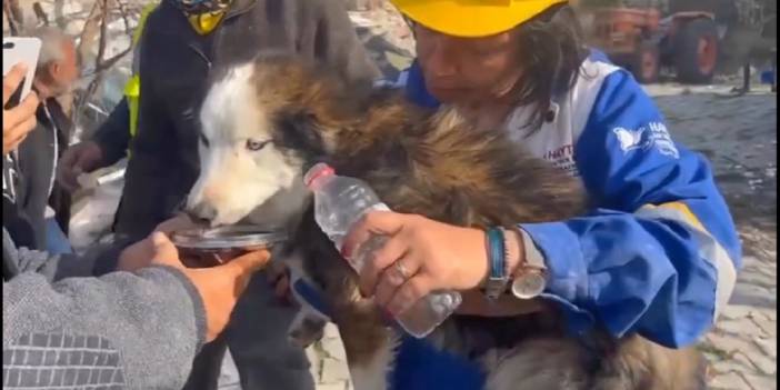 Depremden 23 gün sonra 'Aleks' enkazdan kurtarıldı