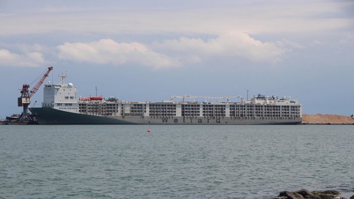 Uruguay'dan gelen gemi Samsun'u kokuttu