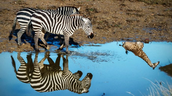 Doğal Yaşam Parkı bayramda ziyaretçi rekoru kırdı