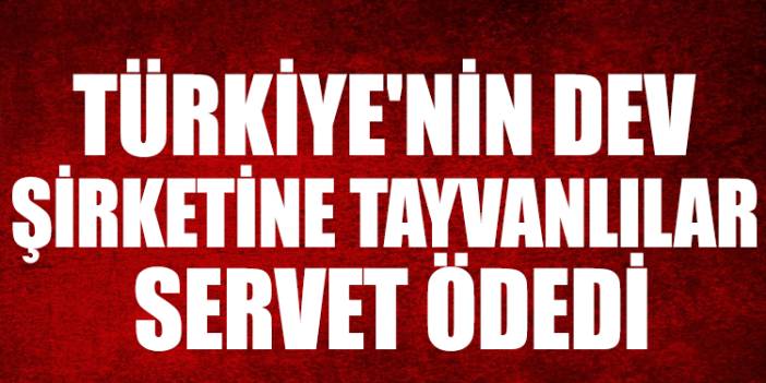 Türkiye'nin dev şirketine Tayvanlılar servet ödedi