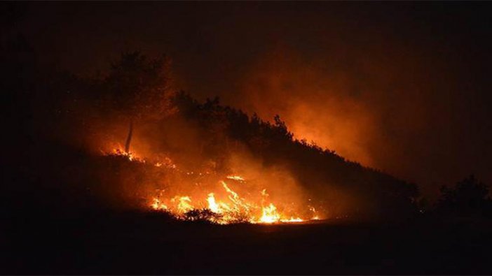 İzmir’de orman yangını: Saatlerdir kontrol altına alınamadı
