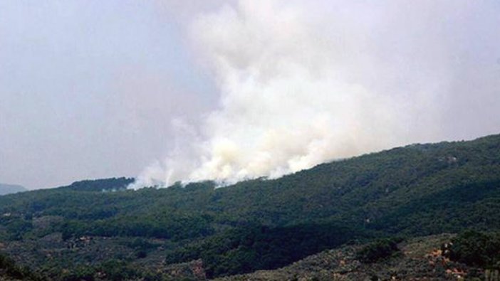 Kaz Dağları’nda 4 ayrı noktada orman yangını başladı: Kundaklama şüphesi!