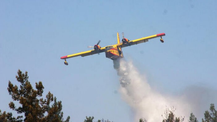 Binlerce ağaç kül oldu: Yangın söndürme uçakları zincirli
