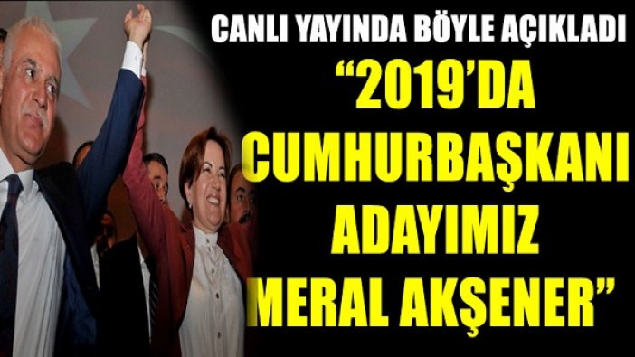 MHP'de Meral Akşener istifası