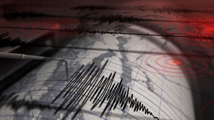 Bilim Akademisi Üyesi Prof. Dr. Naci Görür'den İstanbul depremi ile ilgili açıklama