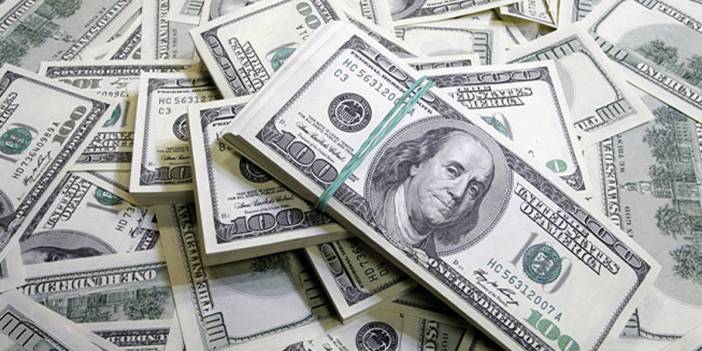 Döviz hesapları rekor tazeledi