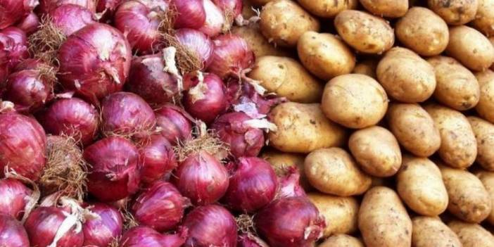 Dondurulmuş soğan ve patates ihracatı kayda bağlandı