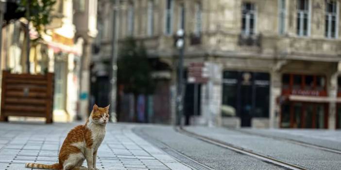 Sokağa çıkma kısıtlamasının detayları belli oldu