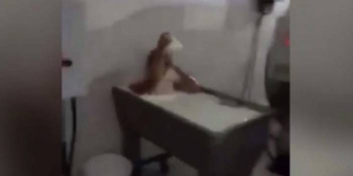 Süt fabrikasındaki skandal görüntülere gözaltı kararı
