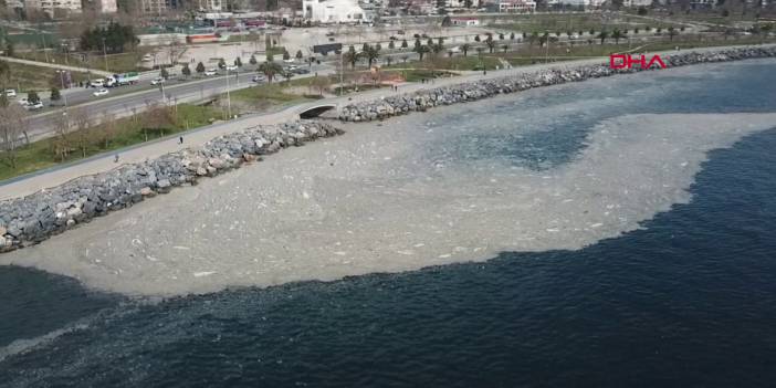 İstanbul sahilini saran kirlilik "deniz salyası" çıktı