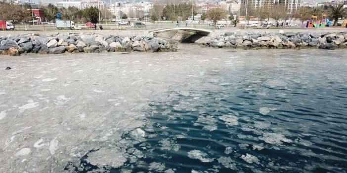 'Deniz Salyası' Marmara'dan sonra Ege'de ortaya çıktı