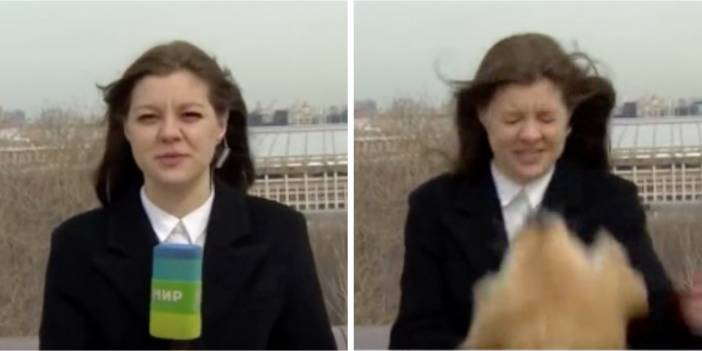 Muhabir mikrofonunu canlı yayında köpeğe kaptırdı