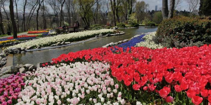 İstanbul'da 8 milyon lale ile görsel şölen