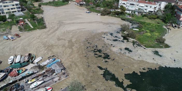 Menekşe deresini deniz salyası sardı