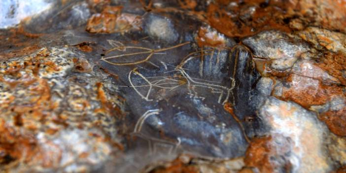 8 bin yıllık mağara resimlerinin bulunduğu bölge için 'sit alanı' başvurusu