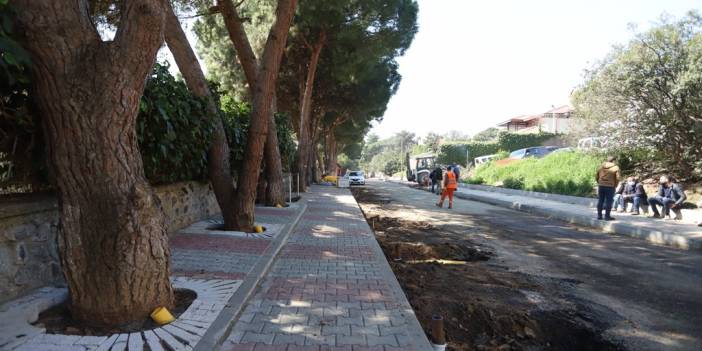 Kartal Belediyesi, yarım asırlık ağaçlara ‘nefes borusu’ ile can veriyor