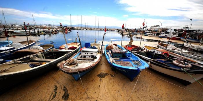 Mudanya sahilindeki 'deniz salyası' havadan görüntülendi